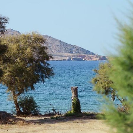 Seaside Paros – Naousa Villa Exterior foto